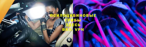прущие грибы Протвино